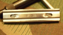 P315 (2).jpg