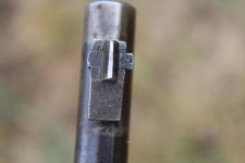 IMG_2443.jpg