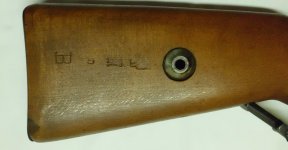 CIMG0918.jpg