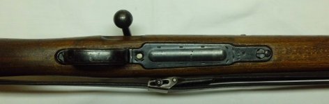 CIMG0903.JPG