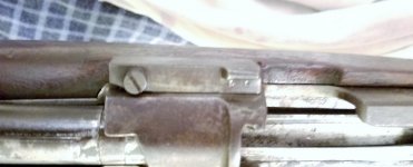 20180728_212654.jpg
