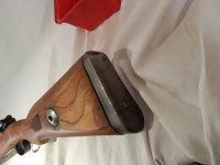 20181010_180521a.jpg