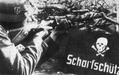 scharfsch_tze.jpg