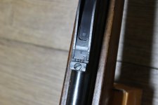 IMG_1579.jpg