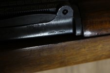 IMG_1565.jpg