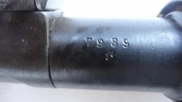 2a.jpg