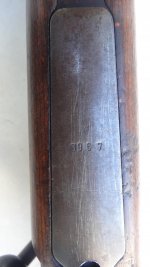 6a.jpg