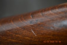 DSC_0207.jpg