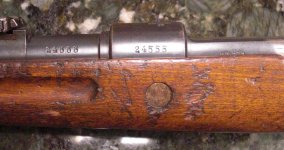 CIMG7455.jpg