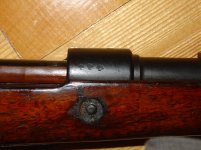 bsw1936_2.jpg