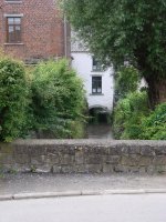 DSC04243.jpg
