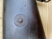 IMG_3345.jpeg