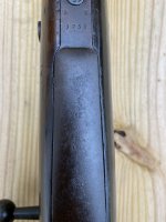 IMG_3370.jpeg