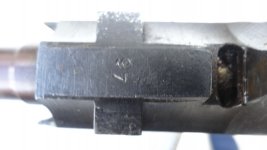1c.jpg