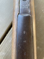 IMG_5753.jpeg