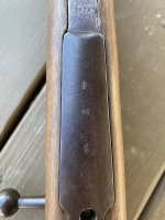 IMG_5752.jpeg