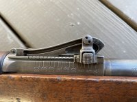 IMG_5687.jpeg