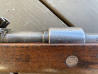 IMG_5686.jpeg