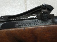 IMG_20220125_221611210.jpg