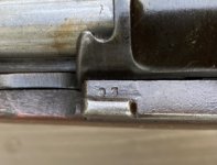 IMG_9908.jpeg