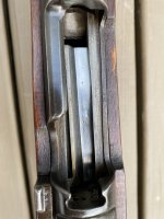 IMG_9920.jpeg