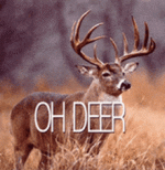58305854-4D59-4A9B-B024-16D1CA2532EA.gif