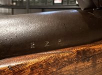D7E25429-156D-46AC-B88B-7C11D4010CB0.jpeg