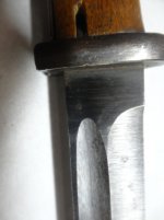 DSC083111.jpg
