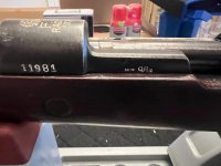 Mauser 1.jpg