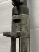 IMG_3840.jpeg