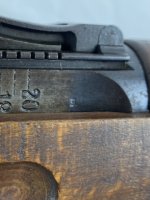 IMG_4895.jpeg