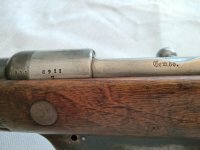 thumbnail (38).jpg