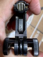 IMG_6174.jpeg