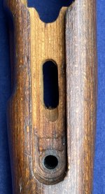 IMG_1341.jpg