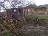 IMG-20130410-00004.jpg