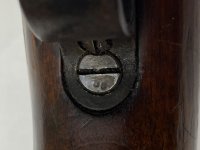 IMG_9995.jpeg
