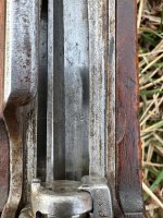 IMG_4810.jpeg
