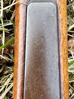 IMG_4803.jpeg