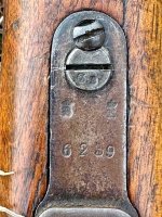 IMG_4802.jpeg