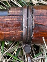 IMG_4799.jpeg
