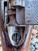 IMG_4831.jpeg