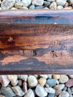 IMG_4820.jpeg