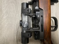 IMG_0299.jpeg