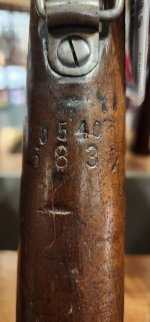 g98_sport_9.jpg