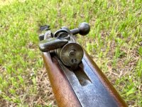 IMG_5236.jpeg