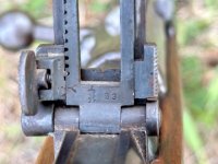 IMG_5242.jpeg