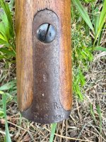 IMG_5245.jpeg