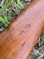 IMG_5251.jpeg