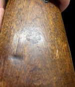 Photoroom_20240820_122349.jpeg