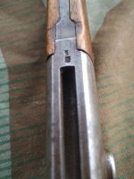 thumbnail (15).jpg